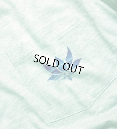 画像4:  ◆Axxe Classic×Matthew Allen【Ocean Matrix】ライトブルー