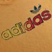 画像3: ◆70s adidas【アメリカ製】グラデーションTee Lサイズ